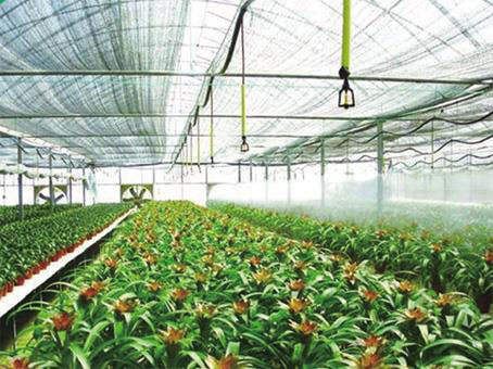 ����ʽ΢��Ӧ��