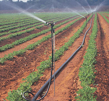 �ز�ʽ���Ӧ��