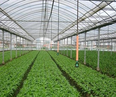 ����ʽ΢�簸��