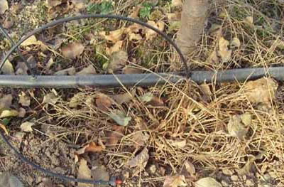 ���̰���