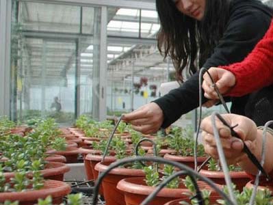 ���̰���