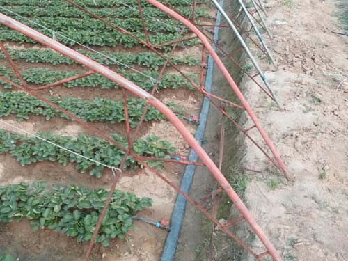 ���̰���