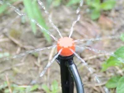 ���̰���