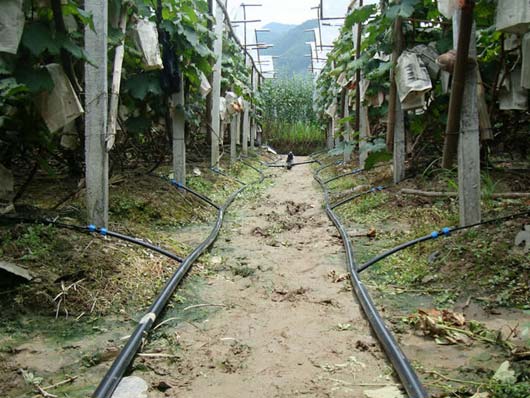 ���̰���