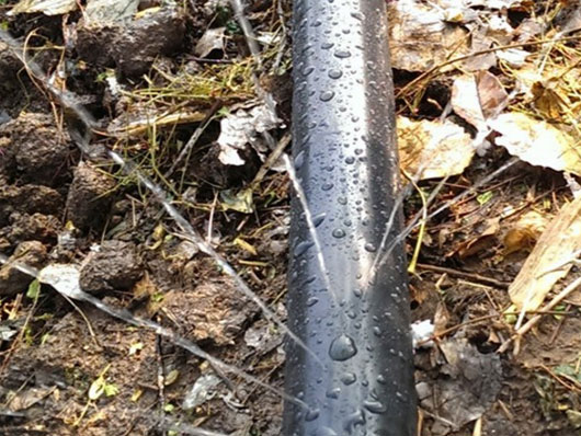 ���̰���