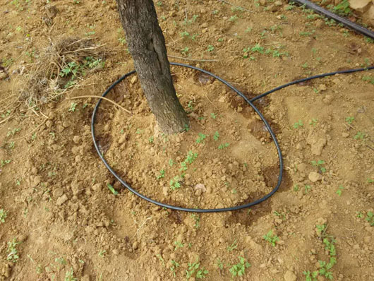 ���̰���