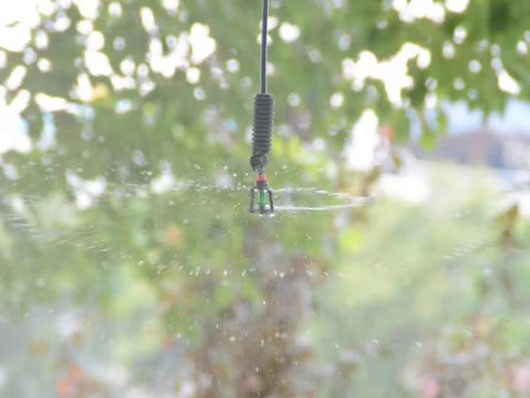 ����΢��Ӧ��