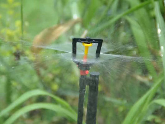 �ز�΢��Ӧ��